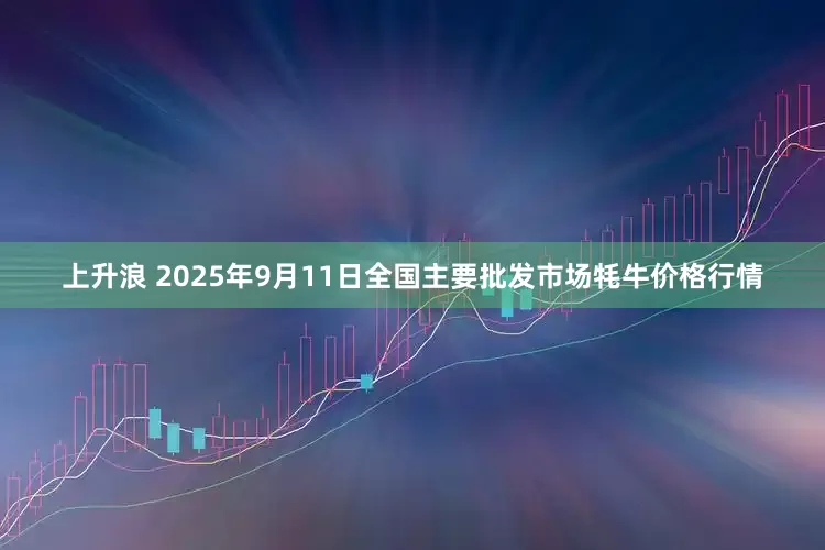 上升浪 2025年9月11日全国主要批发市场牦牛价格行情